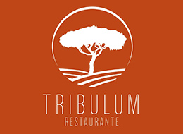 tribulum